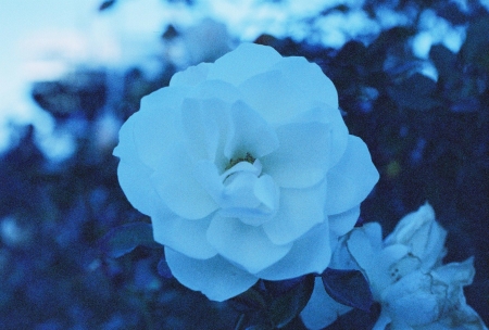 ../blogimage/ao/20250316_100534/20250316_100534_2.jpg