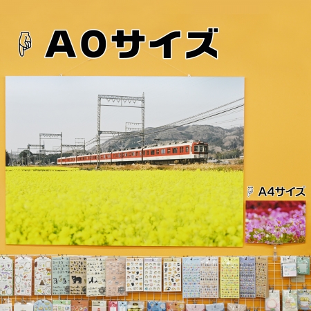 ../blogimage/ao/20250316_101634/20250316_101634_1.jpg