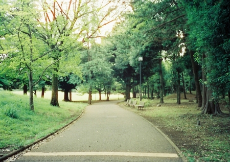 ../blogimage/ao/20250324_104759/20250324_104759_2.jpg
