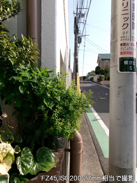../blogimage/ao/20250417_153226/20250417_153226_1.jpg