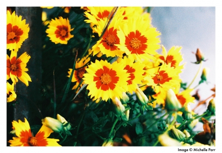../blogimage/ao/20250426_112011/20250426_112011_2.jpg