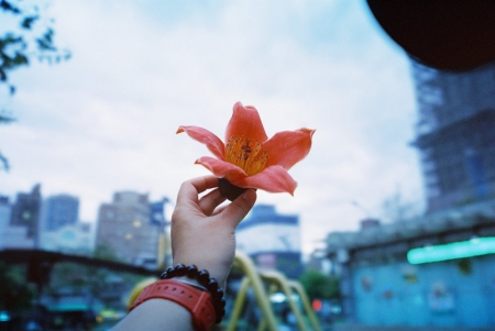 ../blogimage/ao/20250427_120833/20250427_120833_1.jpg