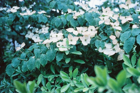 ../blogimage/ao/20250502_112601/20250502_112601_1.jpg