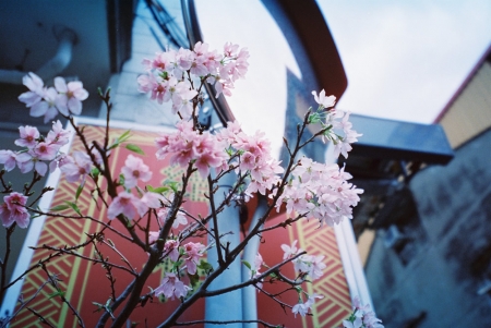 ../blogimage/ao/20250509_104720/20250509_104720_2.jpg