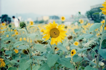 ../blogimage/ao/20250518_114257/20250518_114257_1.jpg