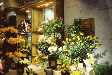 ../blogimage/ao/20250616_103311/20250616_103311_2.jpg