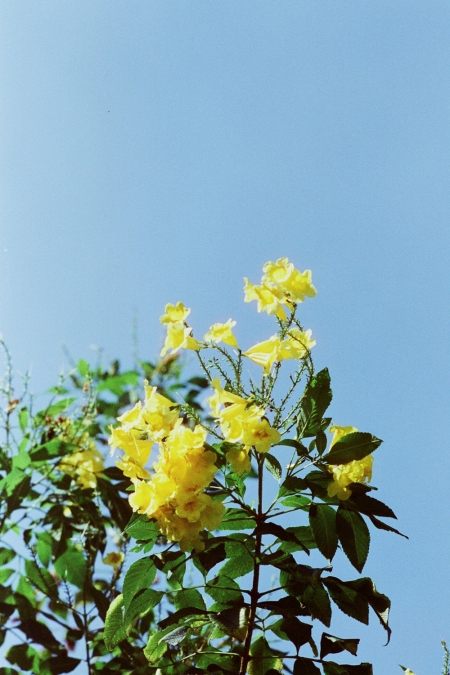 ../blogimage/ao/20250622_112127/20250622_112127_3.jpg