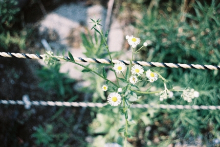 ../blogimage/ao/20250627_140324/20250627_140324_1.jpg