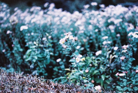 ../blogimage/ao/20250720_103728/20250720_103728_3.jpg