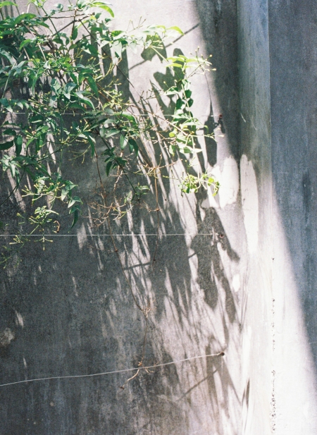 ../blogimage/ao/20250807_111345/20250807_111345_3.jpg