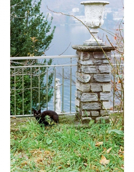 ../blogimage/ao/20250811_114424/20250811_114424_3.jpg