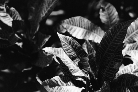 ../blogimage/ao/20250812_110528/20250812_110528_2.jpg