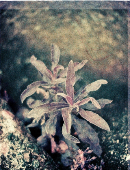 ../blogimage/ao/20250819_112458/20250819_112458_1.jpg