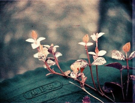 ../blogimage/ao/20250819_112458/20250819_112458_2.jpg