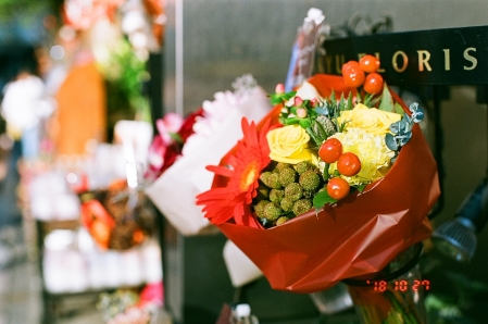 ../blogimage/ao/20251009_120100/20251009_120100_1.jpg