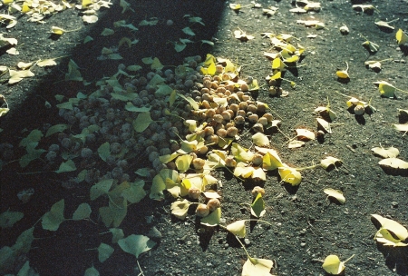 ../blogimage/ao/20251018_144503/20251018_144503_2.jpg
