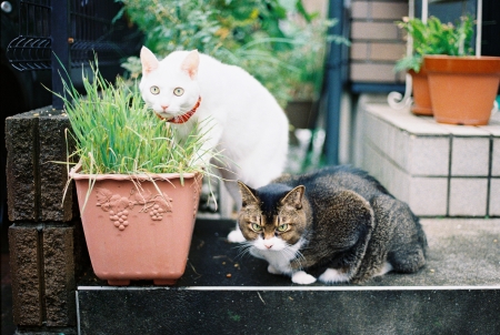 ../blogimage/ao/20251023_113057/20251023_113057_1.jpg