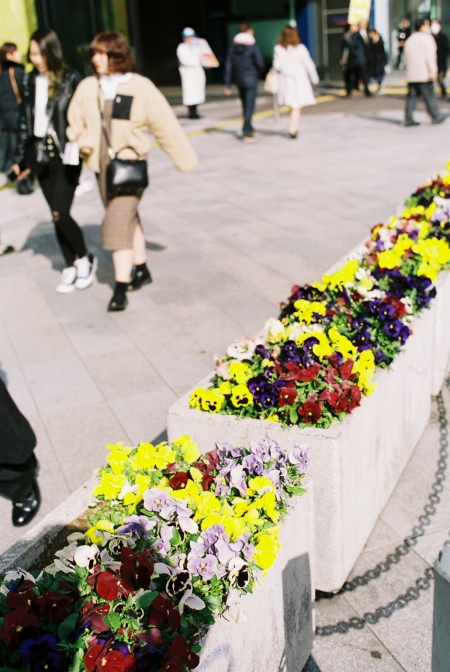 ../blogimage/ao/20260509_113604/20260509_113604_2.jpg