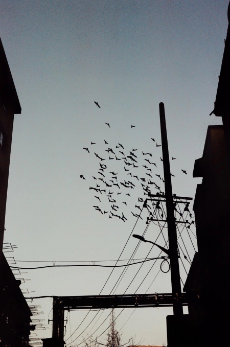 ../blogimage/ao/20260805_110541/20260805_110541_2.jpg