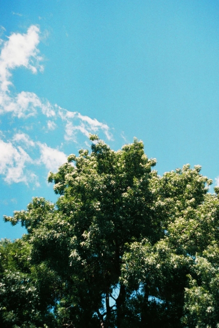 ../blogimage/ao/20260806_102711/20260806_102711_2.jpg