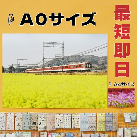 ../blogimage/ao/20260821_112408/20260821_112408_1.jpg