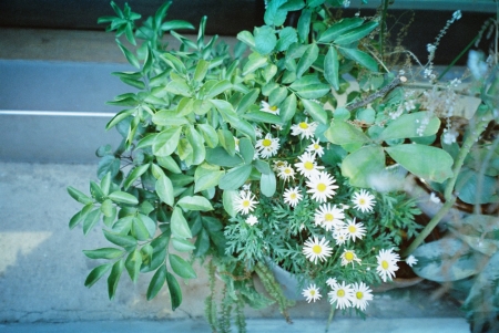 ../blogimage/ao/20260823_090214/20260823_090214_2.jpg