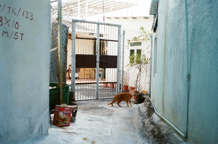 ../blogimage/ao/20260825_121919/20260825_121919_2.jpg