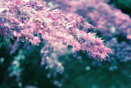 ../blogimage/ao/20261002_110819/20261002_110819_1.jpg