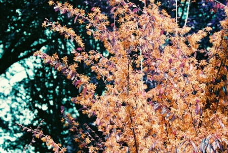 ../blogimage/ao/20261002_110819/20261002_110819_2.jpg