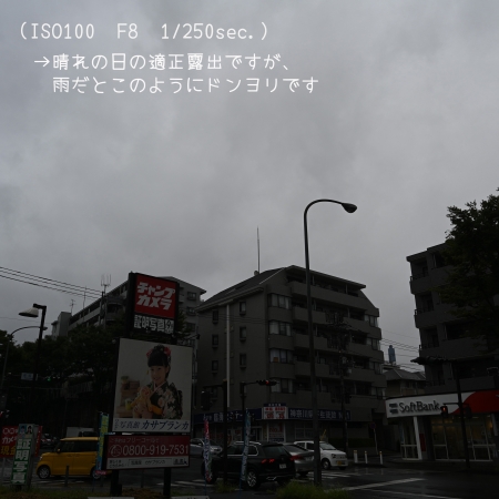 ../blogimage/kh/20220902_112626/20220902_112626_0.jpg