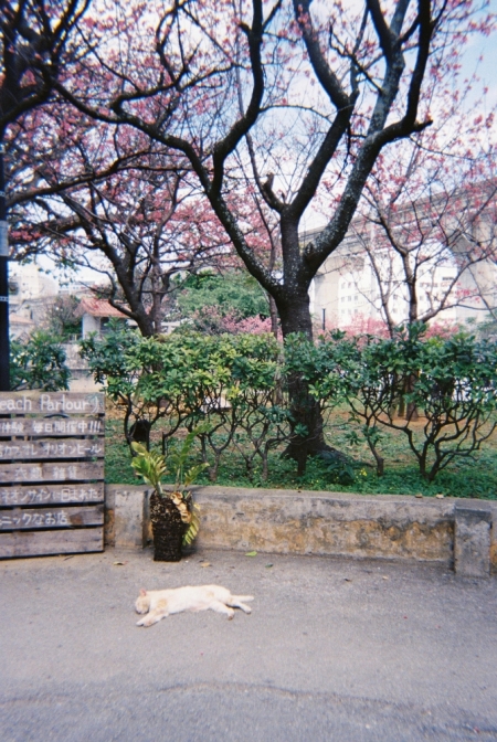 ../blogimage/ms/20250408_091358/20250408_091358_1.jpg