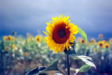 ../blogimage/ms/20250428_102820/20250428_102820_2.jpg
