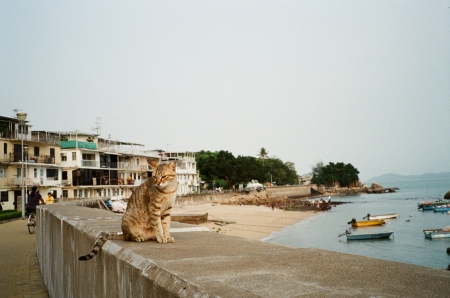 ../blogimage/ms/20250513_094838/20250513_094838_1.jpg