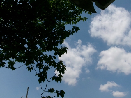 ../blogimage/ms/20250513_112729/20250513_112729_3.jpg