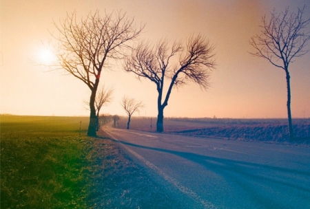 ../blogimage/ms/20250530_102048/20250530_102048_1.jpg