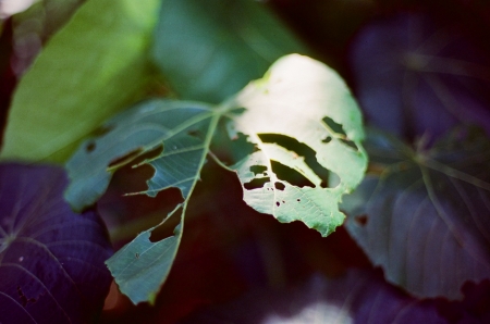 ../blogimage/ms/20250620_101936/20250620_101936_2.jpg