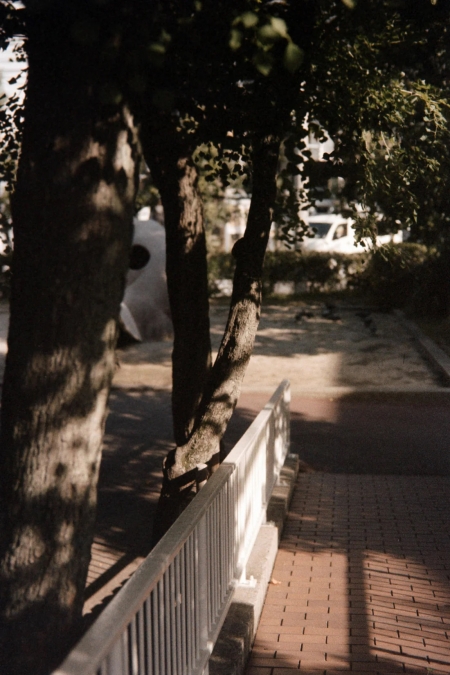 ../blogimage/ms/20250712_094401/20250712_094401_1.jpg