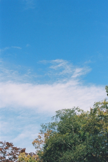 ../blogimage/ms/20250929_120656/20250929_120656_3.jpg