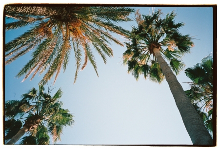 ../blogimage/ms/20251005_100124/20251005_100124_2.jpg