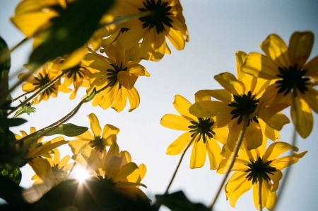 ../blogimage/ms/20251007_104032/20251007_104032_1.jpg