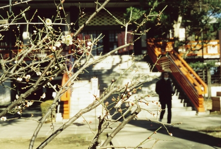 ../blogimage/ms/20260428_115829/20260428_115829_1.jpg