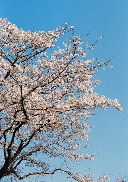 ../blogimage/ms/20260509_113117/20260509_113117_2.jpg