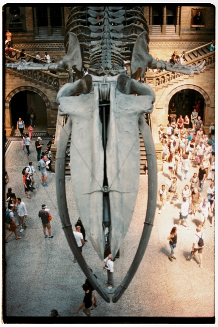../blogimage/ms/20260605_112906/20260605_112906_1.jpg