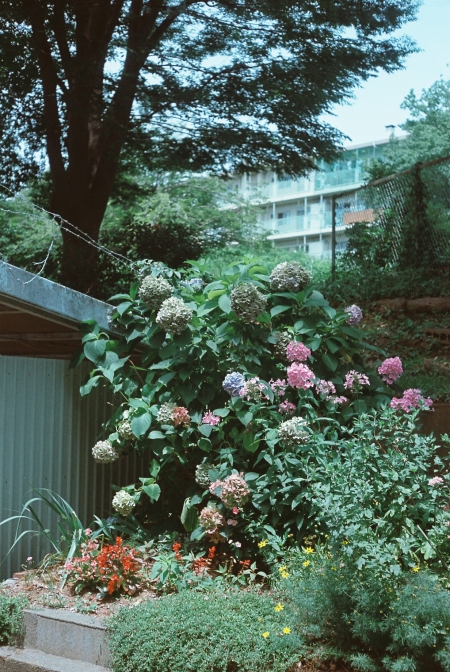 ../blogimage/ms/20260710_103100/20260710_103100_1.jpg