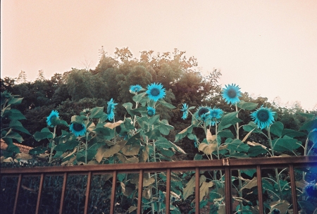 ../blogimage/ms/20260821_101921/20260821_101921_3.jpg