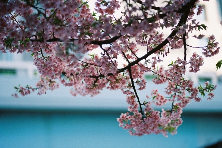 ../blogimage/ms/20260823_091134/20260823_091134_2.jpg