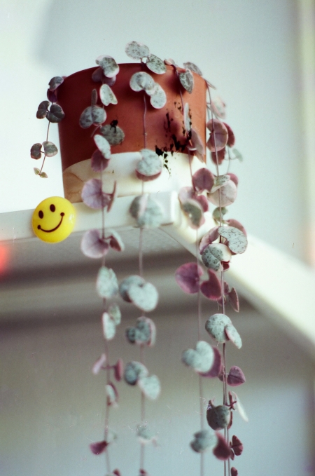 ../blogimage/ms/20261002_111937/20261002_111937_2.jpg