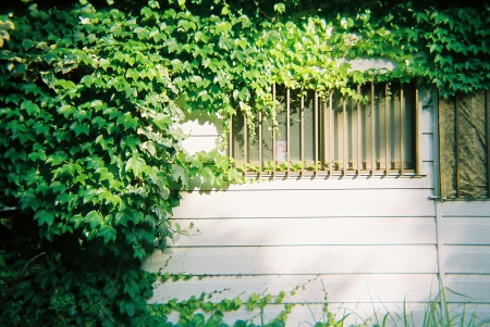 ../blogimage/ta/20250315_100142/20250315_100142_1.jpg