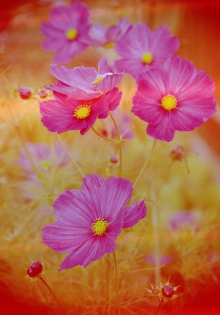 ../blogimage/ta/20250331_120458/20250331_120458_1.jpg