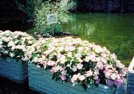 ../blogimage/ta/20250407_112914/20250407_112914_1.jpg